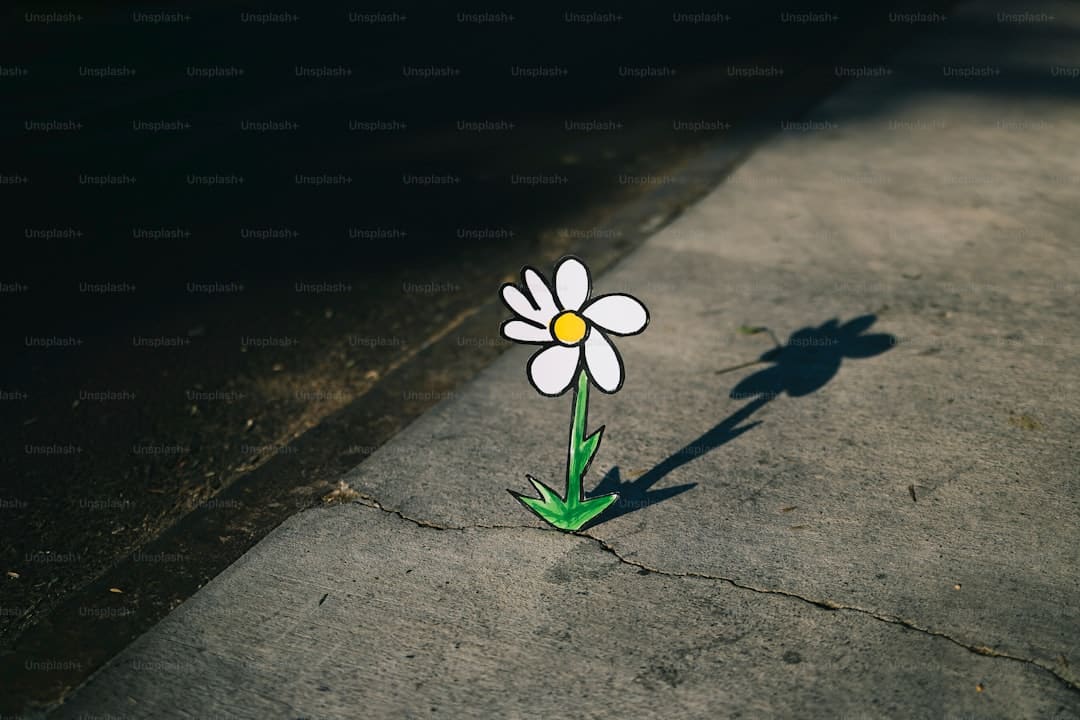 艺评丨常瑞芳：在国际的荒唐与日子的悲情中寻觅生命价值